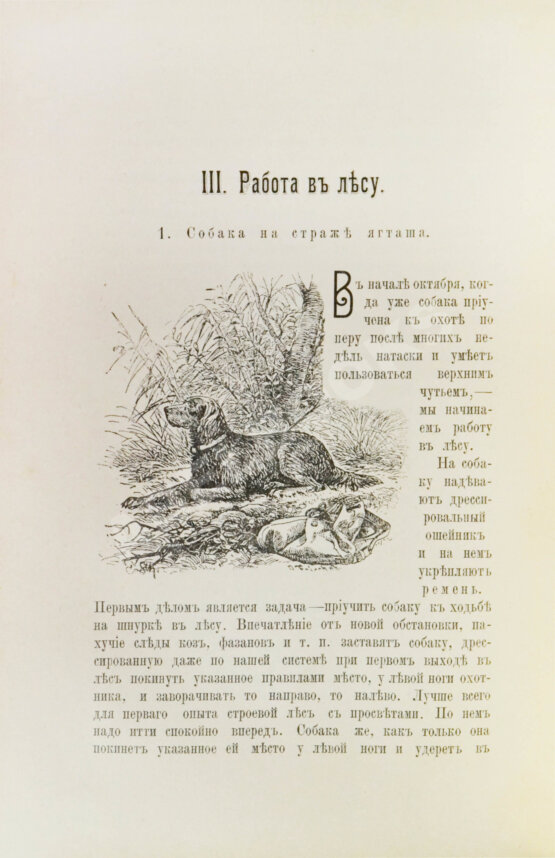 Антикварная книга Оберлендер, Г. Дрессировка и натаска подружейных собак