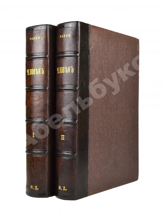 Антикварная книга Ранке, И. Человек