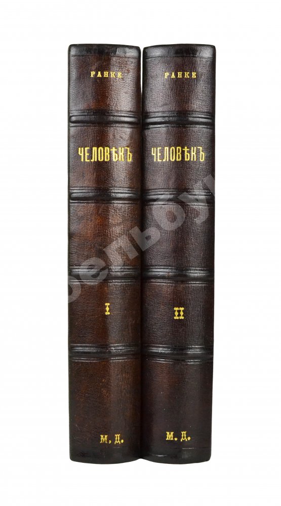 Антикварная книга Ранке, И. Человек