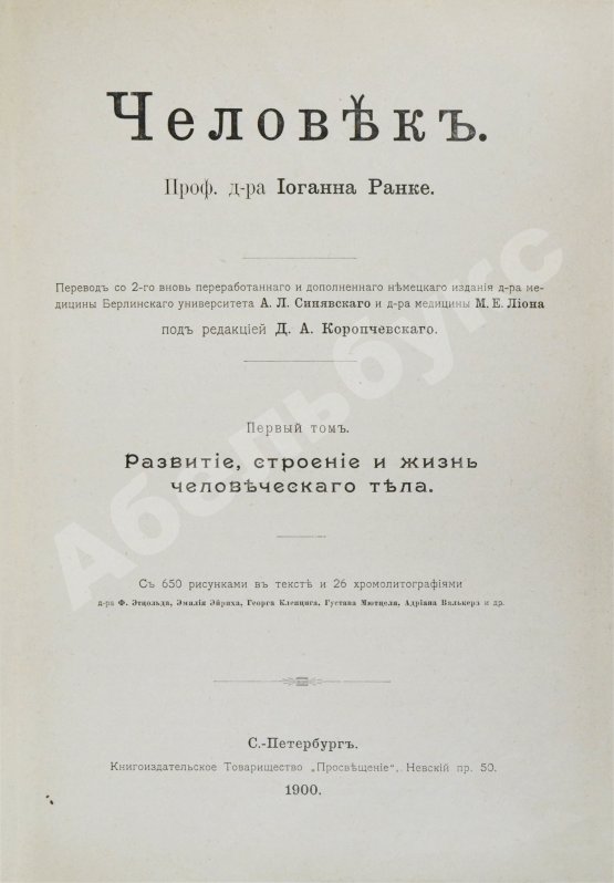 Антикварная книга Ранке, И. Человек