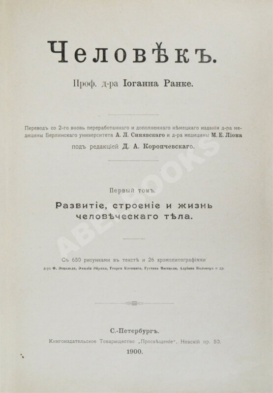 Антикварная книга Ранке, И. Человек Антикварная книга Ранке, И. Человек