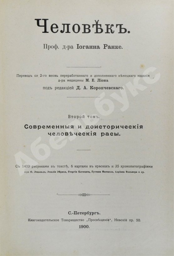 Антикварная книга Ранке, И. Человек