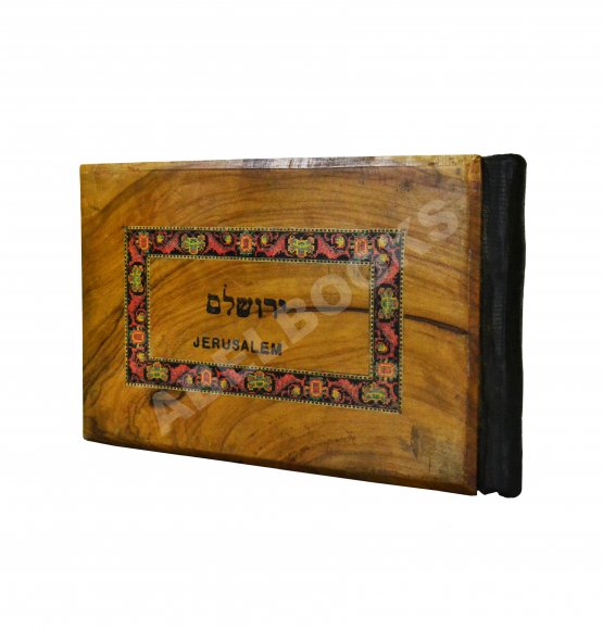 Антикварная книга Цветы и виды Святой Земли. Альбом иллюстраций и гербарий