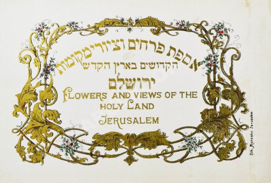 Антикварная книга Цветы и виды Святой Земли. Альбом иллюстраций и гербарий