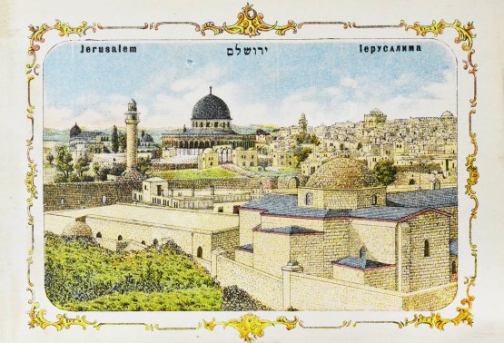 Антикварная книга Цветы и виды Святой Земли. Альбом иллюстраций и гербарий