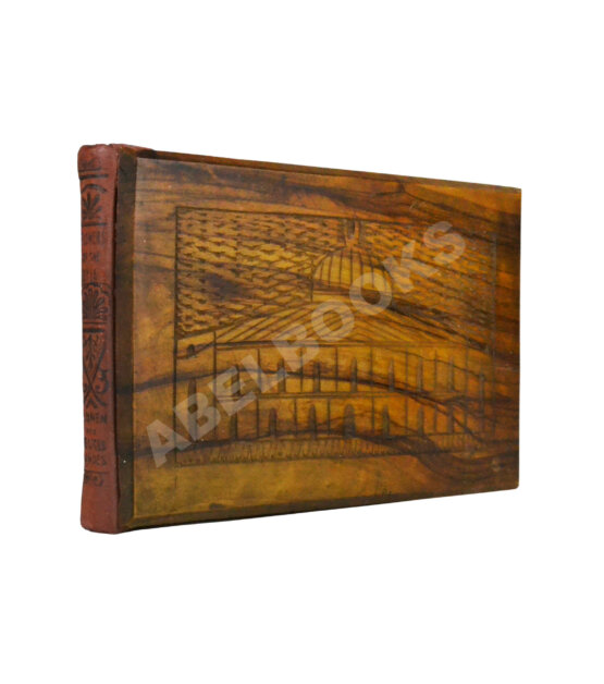 Антикварная книга Виды Иерусалима. Альбом иллюстраций и гербарий