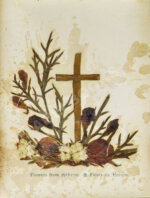 Виды Иерусалима. Альбом иллюстраций и гербарий