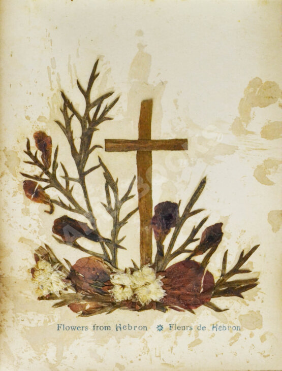 Антикварная книга Виды Иерусалима. Альбом иллюстраций и гербарий