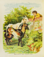 Что любят дети