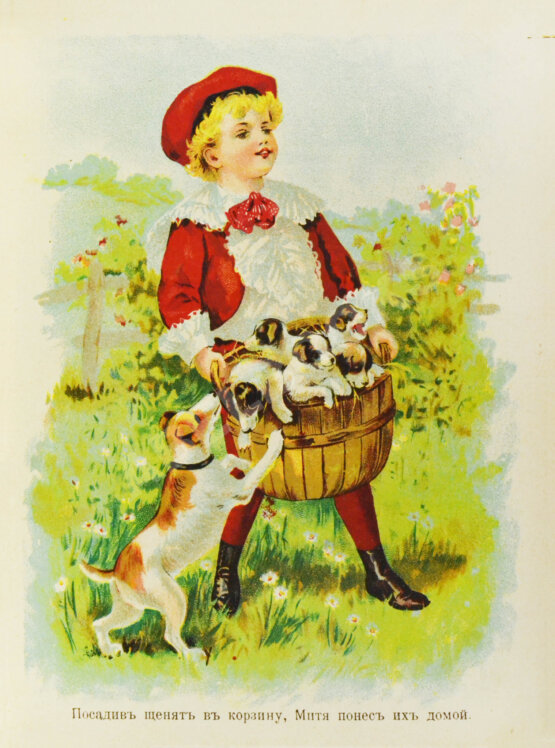 Антикварная книга Что любят дети