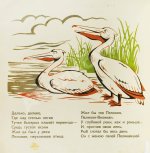Туровский, Б.И. Пеликан-великан