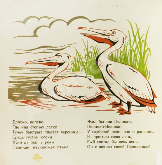 Антикварная книга Туровский, Б.И. Пеликан-великан
