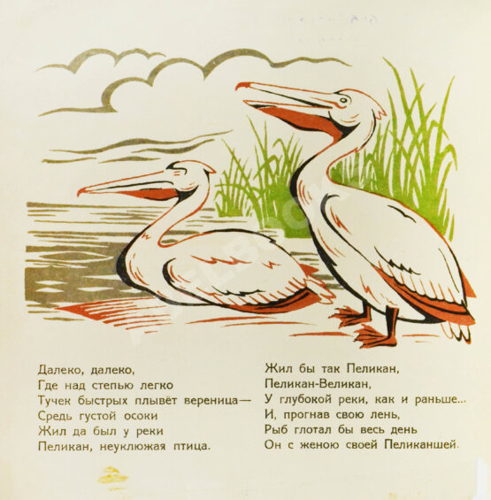 Антикварная книга Туровский, Б.И. Пеликан-великан