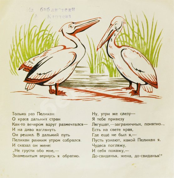 Антикварная книга Туровский, Б.И. Пеликан-великан