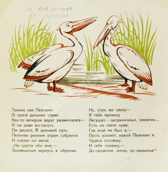 Антикварная книга Туровский, Б.И. Пеликан-великан
