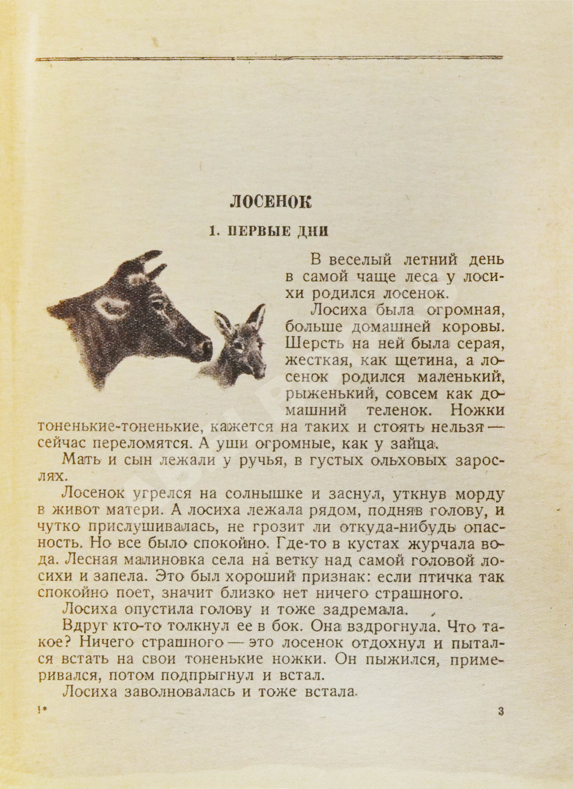 Скребицкий, Г.А. Простофили и хитрецы. Рассказы о животных | Купить с  доставкой по Москве и всей России по выгодным ценам.