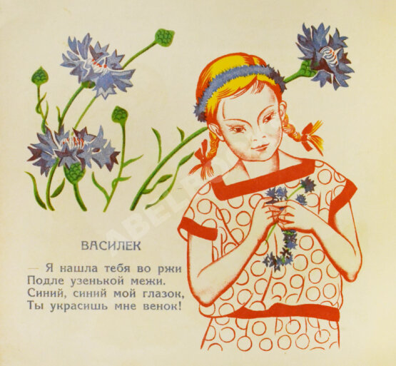 Антикварная книга Степанова, М.Д. Полевые цветы