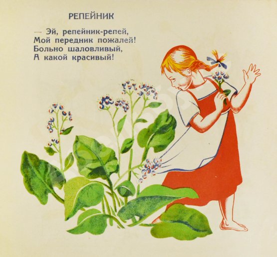Антикварная книга Степанова, М.Д. Полевые цветы