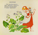 Степанова, М.Д. Полевые цветы