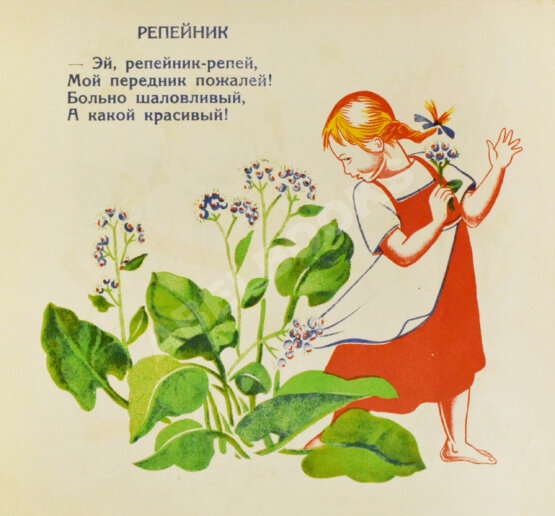 Антикварная книга Степанова, М.Д. Полевые цветы