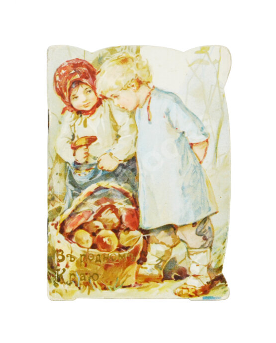 Антикварная книга В родном краю