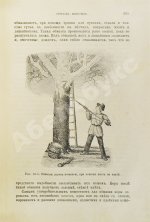 Гребницкий, А.С. Уход за плодовым садом