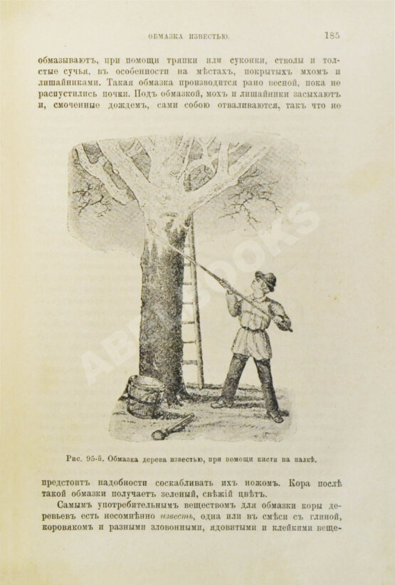 Антикварная книга Гребницкий, А.С. Уход за плодовым садом