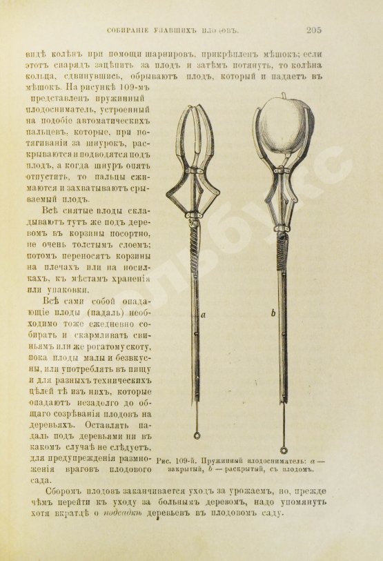 Антикварная книга Гребницкий, А.С. Уход за плодовым садом