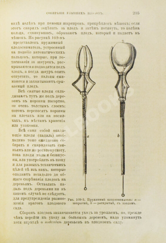Антикварная книга Гребницкий, А.С. Уход за плодовым садом