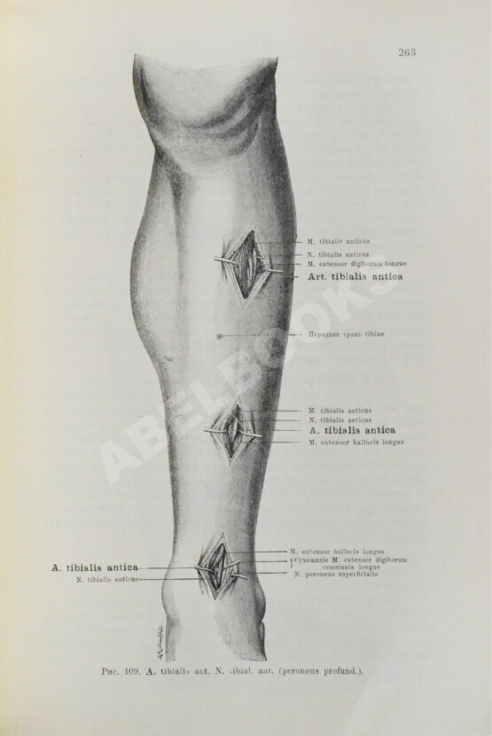 Антикварная книга Кохер, Т. Учение о хирургических операциях д-ра Т. Кохера
