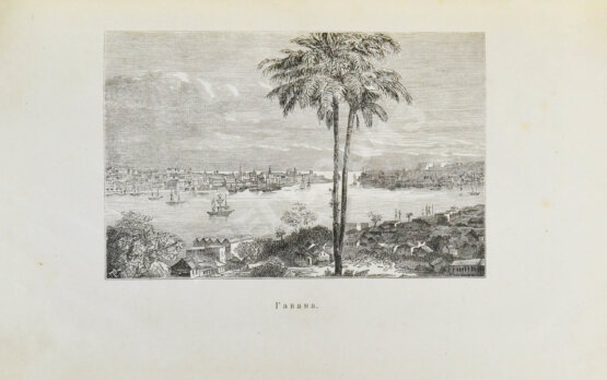 Антикварная книга В чужих краях