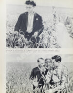 Смотр побед социалистического сельского хозяйства