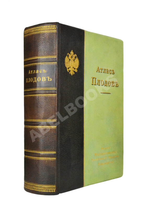 Антикварная книга Атлас плодов Антикварная книга Атлас плодов