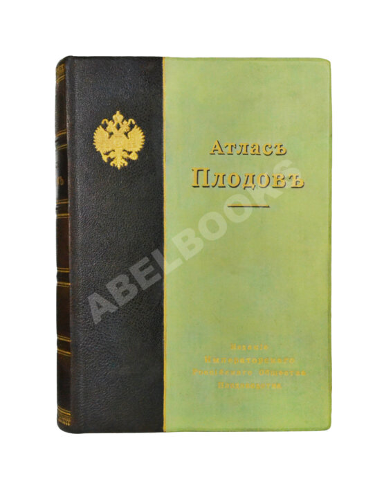 Антикварная книга Атлас плодов