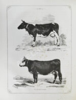 Отчёт о первой Всероссийской выставке рогатого скота 1869 года