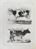 Отчёт о первой Всероссийской выставке рогатого скота 1869 года