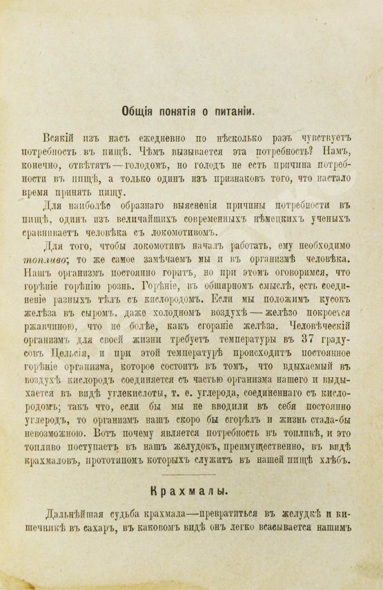 Антикварная книга Каншин, Д.В. Интересы желудка