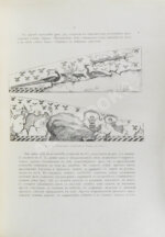 Русские древности в памятниках искусства, издаваемые И. Толстым и Н. Кондаковым