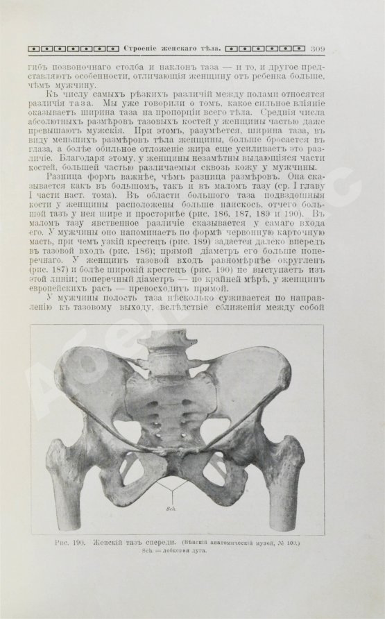 Мужчина и женщина