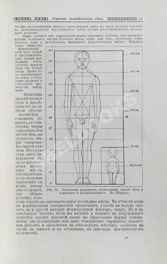 Мужчина и женщина