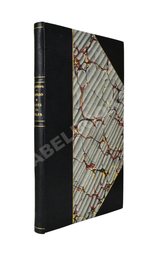 Антикварная книга Рагозин, Е.И. Железо и уголь на Урале