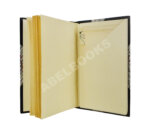 Рагозин, Е.И. Железо и уголь на Урале