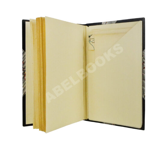 Антикварная книга Рагозин, Е.И. Железо и уголь на Урале