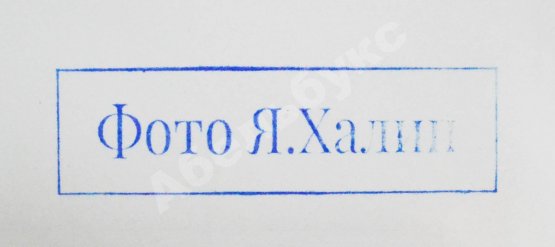 Халип, Я.Н. Крупноформатная художественная фотография «Две лошади»