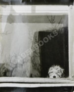 Комовский, А.Г. Крупноформатная фотография «Кузька ждёт хозяина»