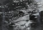 Комовский, А.Г. Крупноформатная фотография «Послеобеденный отдых»