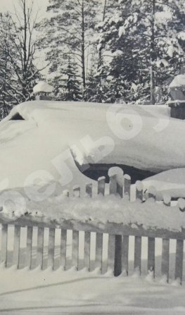 Комовский, А.Г. Крупноформатная фотография «Занесло»