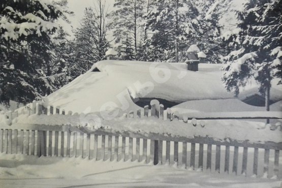 Комовский, А.Г. Крупноформатная фотография «Занесло»