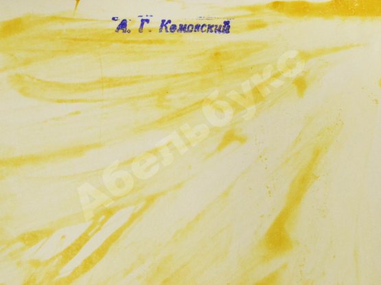 Комовский, А.Г. Крупноформатная фотография «Занесло»