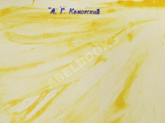 Комовский, А.Г. Крупноформатная фотография «Занесло»